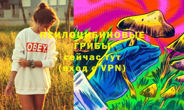 дмт Кинешма