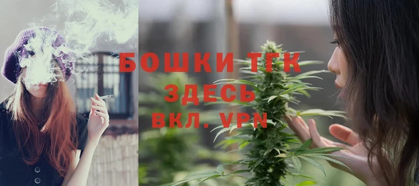 молекула духа Киренск