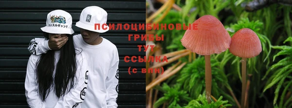дмт Кинешма
