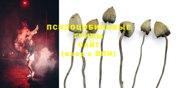 гашик Киреевск