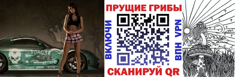Купить  Изобильный  Галлюциногенные грибы Psilocybe 